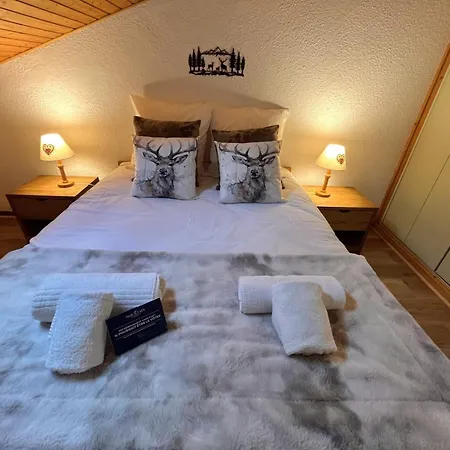 Appartement Duplex Aux Pieds 4 Pers Avec Parking A Meribel *