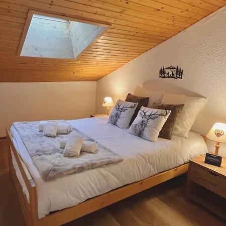Appartement Duplex Aux Pieds 4 Pers Avec Parking A Meribel Les Allues