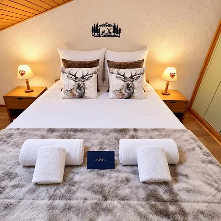 Duplex Aux Pieds 4 Pers Avec Parking A Meribel